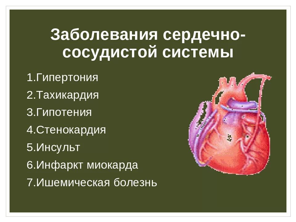 Сердечные болезни. Заболевания сердечно-сосудистой системы. Заболевания сердечно-сосудистой системы список. Заболевание сердечной сосудистой системы. Заболевание серлечнососудистрй системы.