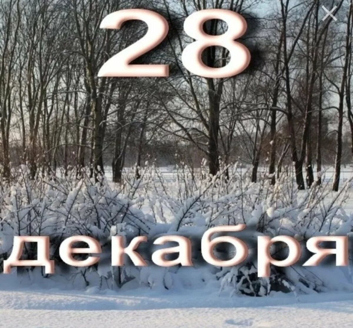 Первая неделя февраля. 28 Декабря. 28 Декабря день. 28 Декабря календарь. Открытки 28 декабря.