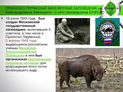 Приокско террасный заповедник находится в зоне