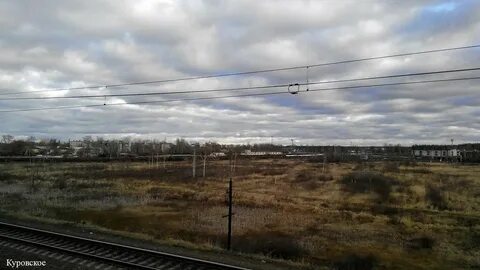 Погода вековка