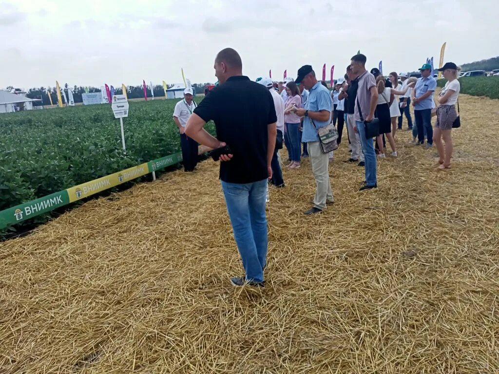 Лицо свое скрывает день поля. День поля. день поля мероприятия. август поле. поля подсолнухов в краснодарском крае.
