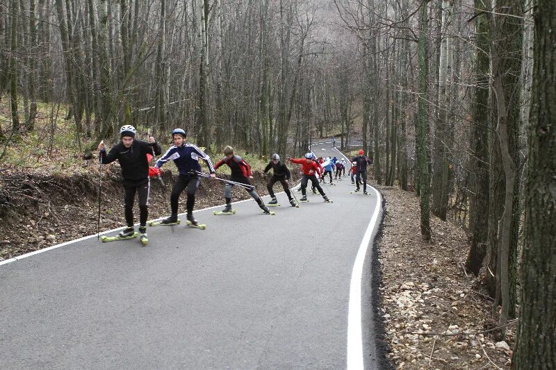 лыжероллерная трасса в дубровицах. лыжероллерная трасса подолино ярославль. экопарк тюмень. дубровицы лыжероллерная трасса. лыжероллерной трассы в дубровицах подольск.