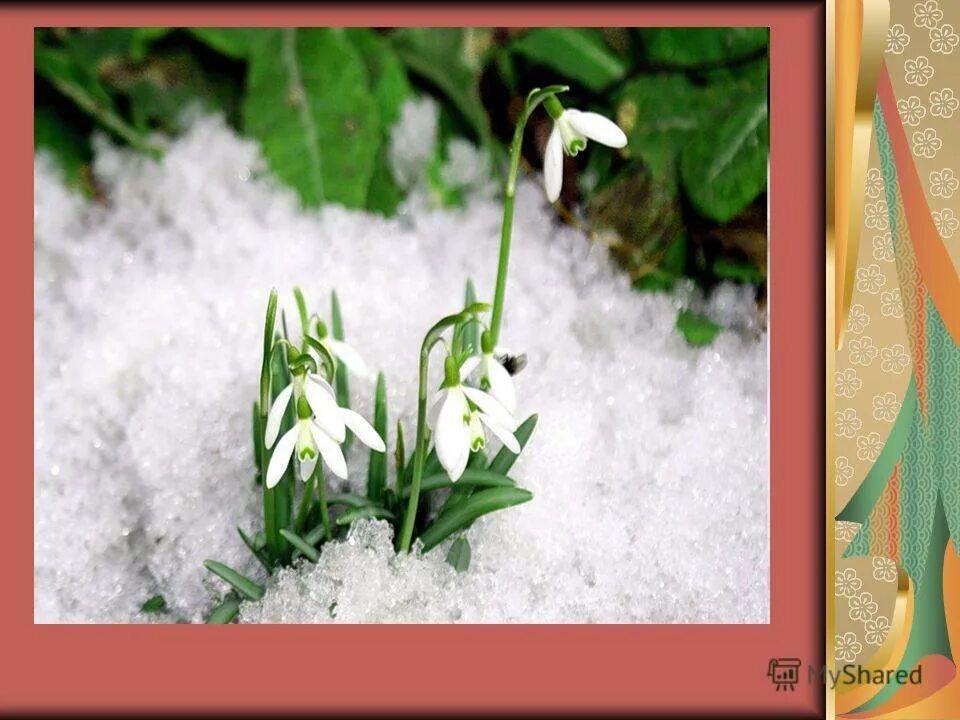 весна тает снег. тает снег. тают белые снега. тает снег. загадка про таяние снега.
