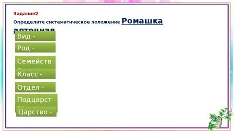 Систематическое положение растений ромашка