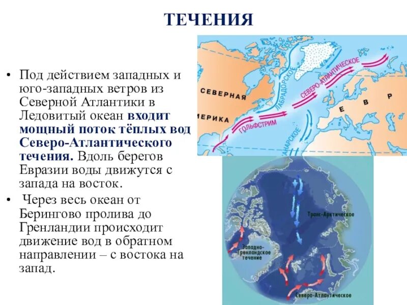 Северо атлантическое течение северного ледовитого океана