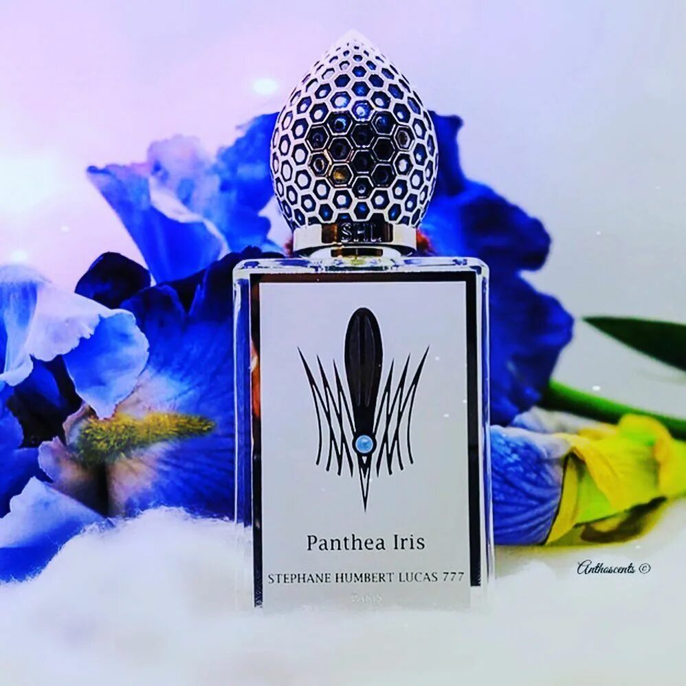 Stephane humbert lucas venom incarnat. Stephane humbert lucas 777 panthea iris edp. stephane humbert lucas 777 тестер. panthea stephane humbert lucas. stephane humbert lucas 777 pink boa.