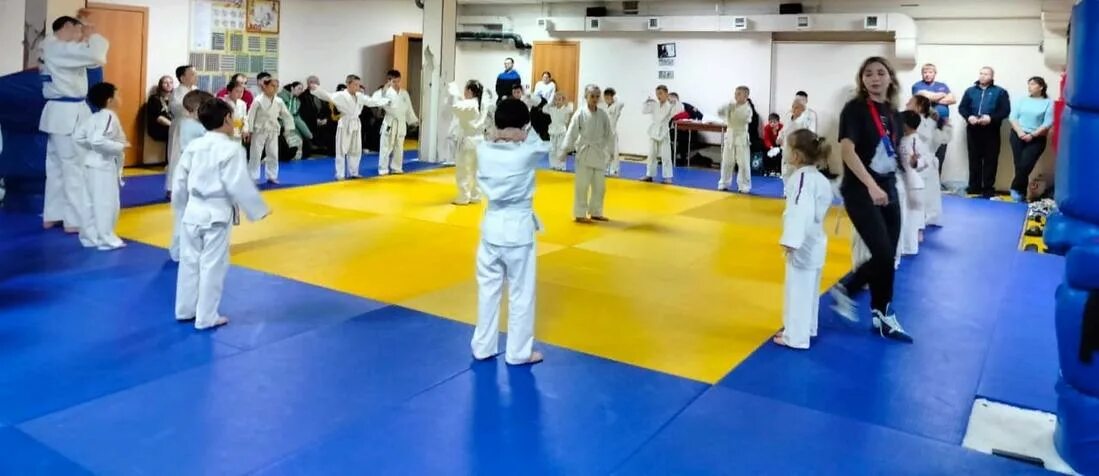 торжок соревнования по дзюдо. тверская федерация дзюдо. соревнования по дзюдо. торжок соревнования по дзюдо. федерация дзюдо торжка.