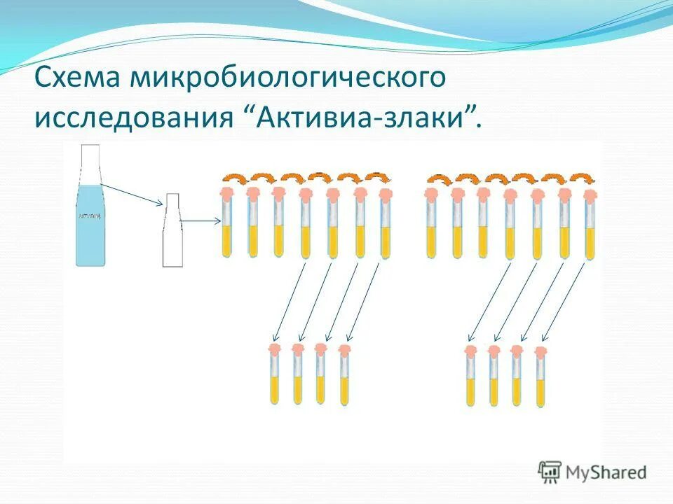 Схема микробиологического исследования чумы. Схема бактериологического метода диагностики лептоспироза. Схема микробиологического исследования сибирской язвы. Схема микробиологического исследования чумы. Схема микробиологического исследования на менингококк.