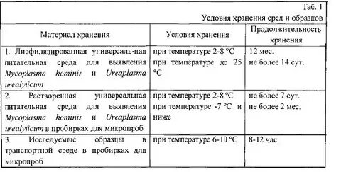 Срок среда