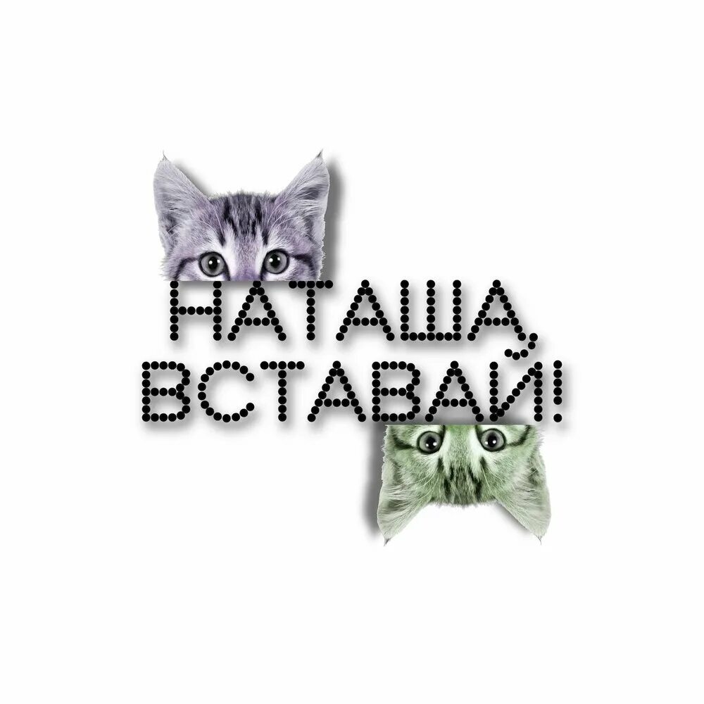 Шутки про утреннее вставание. Лень вставать. Вставай пора на завод. Высказывания о русских воинах. Наташа проснись.