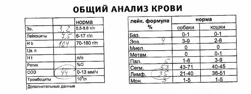 Соэ 60 у мужчины причины. Показатели СОЭ В крови норма. Анализ крови СОЭ норма у мужчин. Анализы СОЭ норма для женщин. СОЭ норма у мужчин по возрасту таблица.