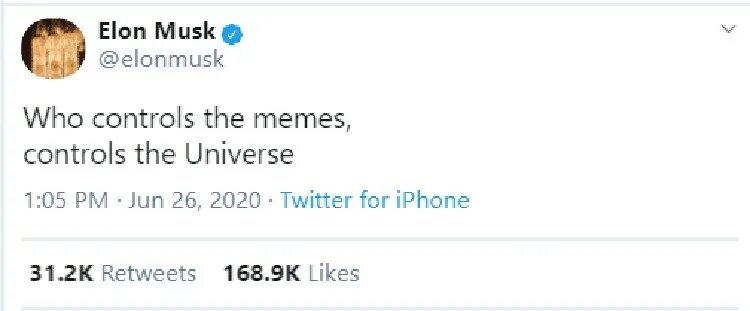 Twitter meme. Elon Musk twitter memes. Elon Musk twitter shit. Musk twitter.
