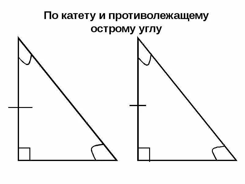 Построение прямоугольного треугольника по двум катетам. Прямоугольный треугольник по катету и противолежащему углу. Равенство треугольников по катету и противолежащему острому углу. По катету и острому углу. Треугольник по катету и острому углу.