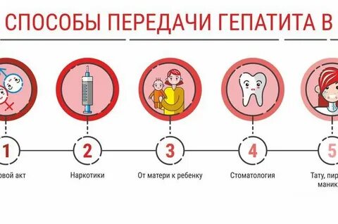 Механизм передачи гепатита с