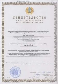 Рнн господин