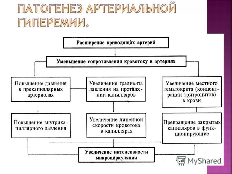 Этиология артериальной гиперемии. Механизмы развития артериальной гиперемии патофизиология. Этиология артериальной гиперемии. Механизмы развития артериальной гиперемии. Механизмы развития артериальной гиперемии патофизиология.