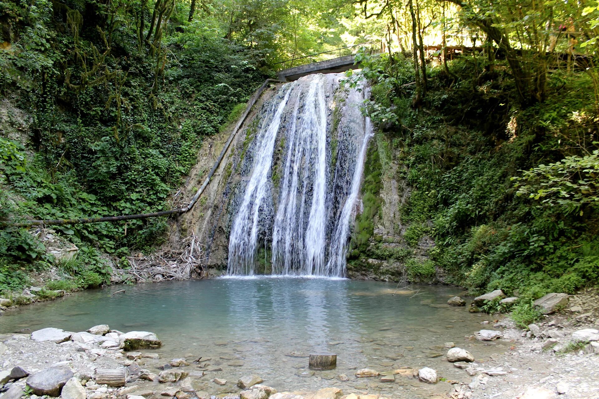 Тисо самшитовая роща хоста. Достопримечательности хосты сочи. Хоста курортный городок. Хоста краснодарский край самшитовая роща. Хоста сочи достопримечательности.