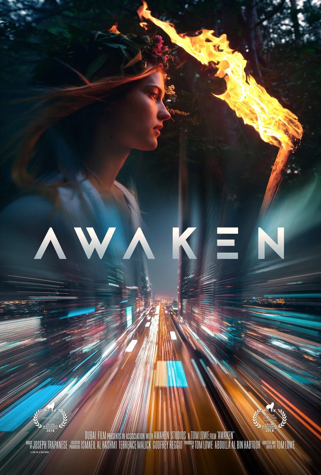 Пробуждение 2018. Пробуждение 2018 Awaken. Пробуждение Постер.