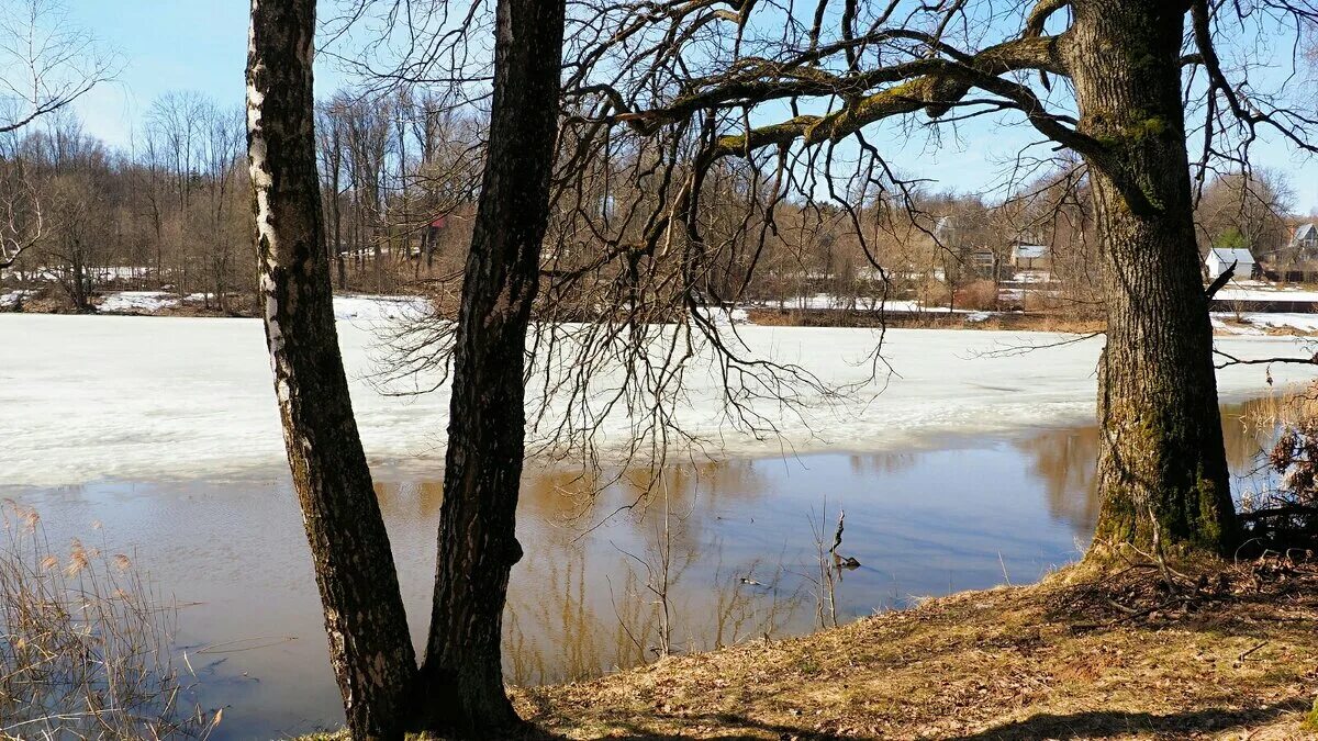 смоленская область гагаринский район село карманово. митинг посвященный частичной мобилизации. смоленщина от 11. 09 2017. смоленщина от 11.