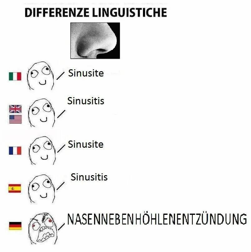 Смешные слова на немецком языке. Смешной немецкий язык. Смешные слова на различных языках. Приколы про немецкий язык. Язык мемов