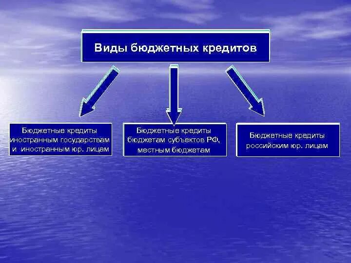 Виды бюджетных кредитов. Виды бюджетного кредитования. Понятие и виды бюджетного кредитования. Виды бюджетных ссуд.