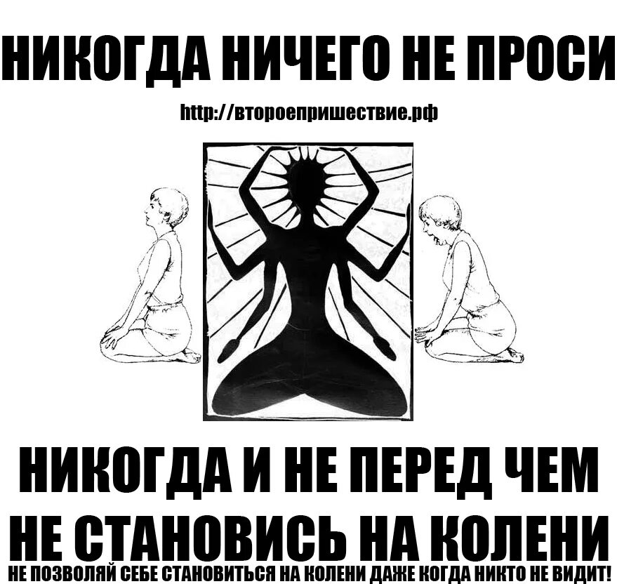 Фраза никогда ничего не просите. Никогда ничего не просите. Никогда ничего не проси. Никогда ничего не прочите. Цитата никогда ничего не просите.