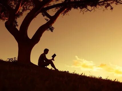 Reading sun shines