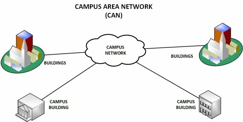 Сайт сети либо. Can (Campus area Network). Кампусная локальная сеть. Сети кампусов. Кампусная сеть пример.