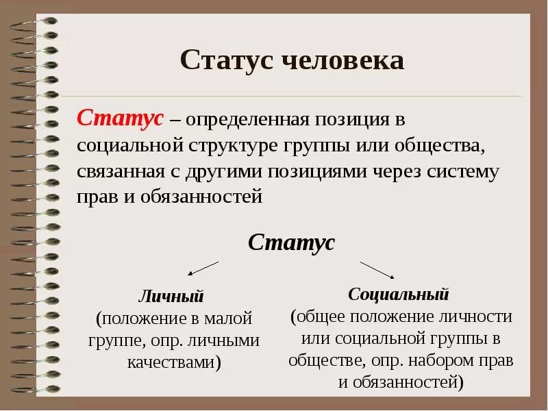 Социальный статус статья. Статусы про людей. Социальный статус примеры. Определение социальное положение человека. Статус человека в обществе.