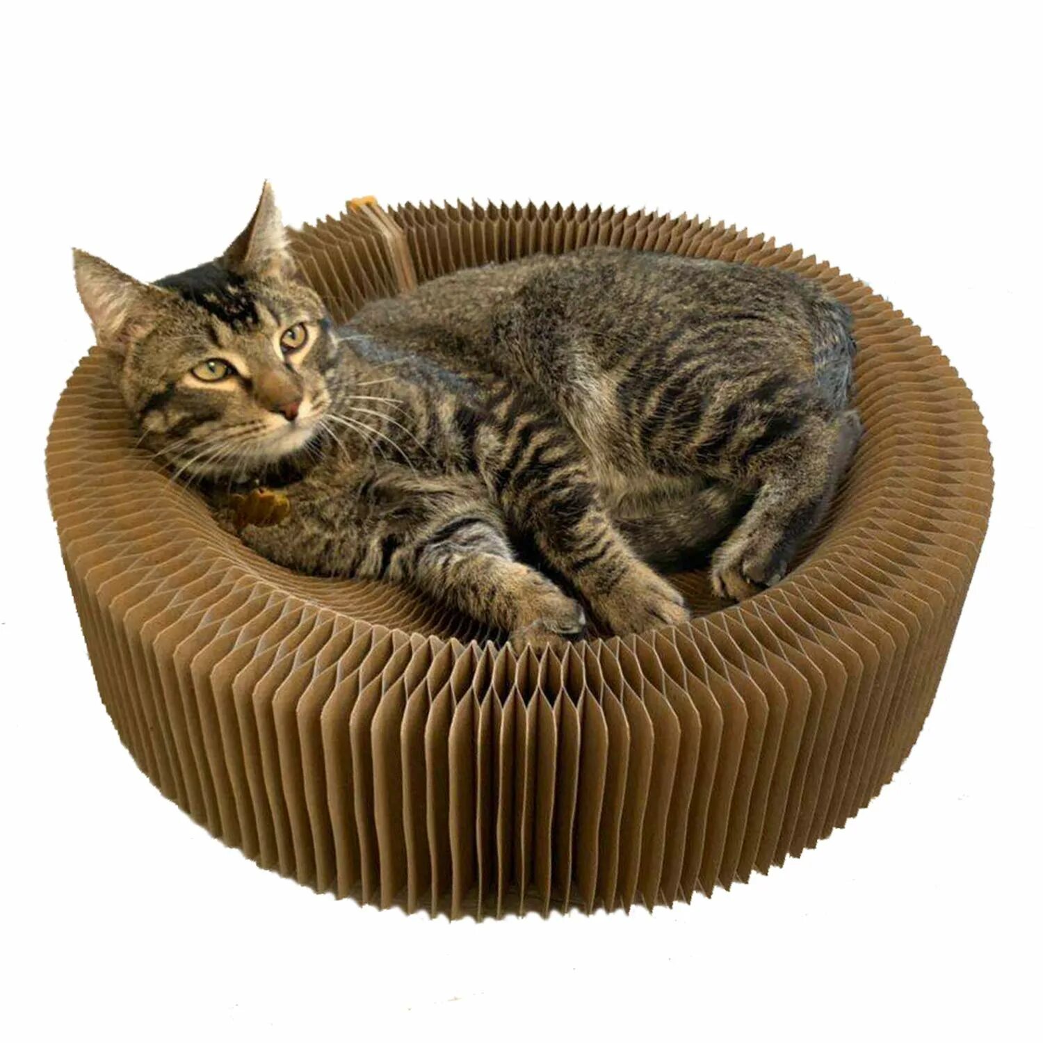 Cat scratcher. Когтеточка круглая. Раздвижная лежанка-когтеточка d-54см. Раздвижная лежанка-когтеточка с выемкой 2в1 d-54см.