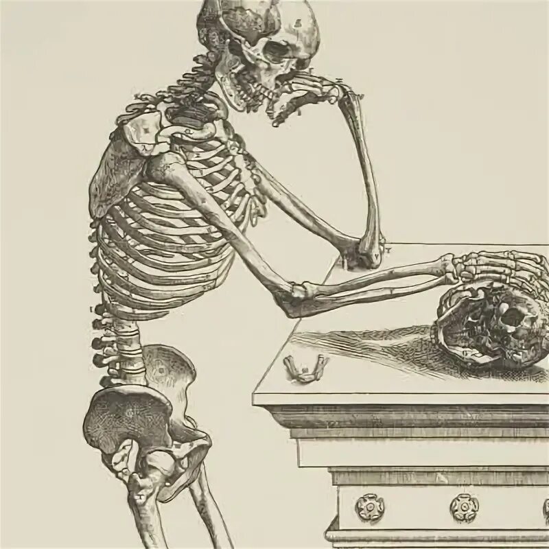 Either hated. Either hated. Фонк обложка. Футболка dream 2. Either hated.