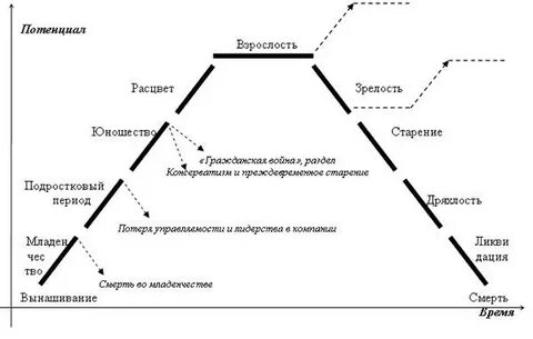 Жизненный цикл человека психология