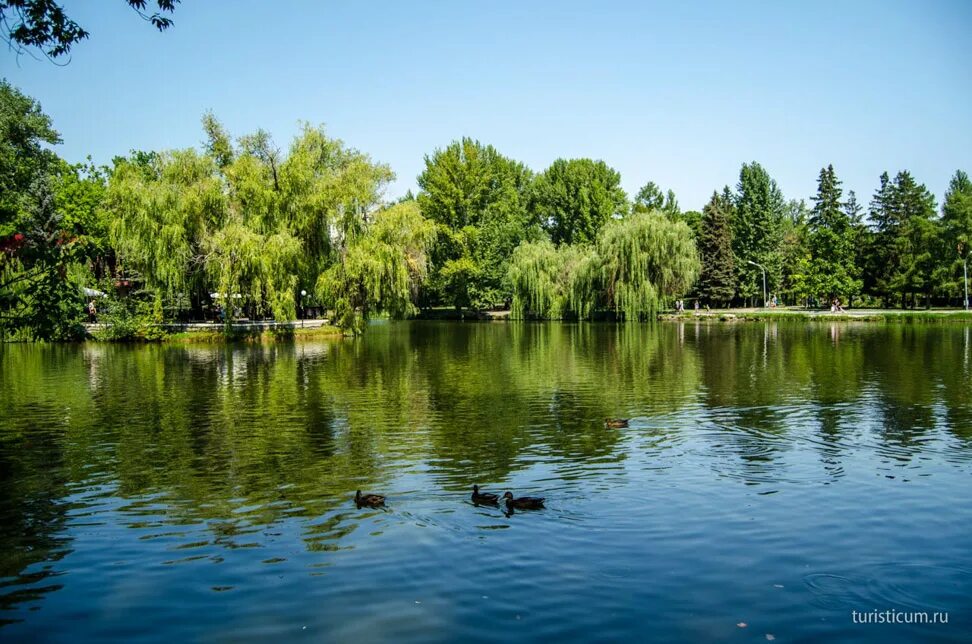 Горпарк саратов цены. Городской парк Лукоморье Саратов. Парк имени Горького Саратов. ЦПКИО Горького Саратов. Горпарк Саратов.