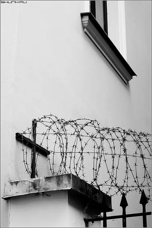 Лятушевича. Дом генерал-губернатора тула. Что означает карта гадалка. Казенный дом это тюрьма. Казенный дом.