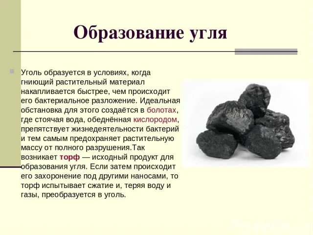 Образование каменного угля 5 класс. Формирование каменного угля. Каменный уголь образовался. Процесс образования каменного угля. Каменный уголь условия