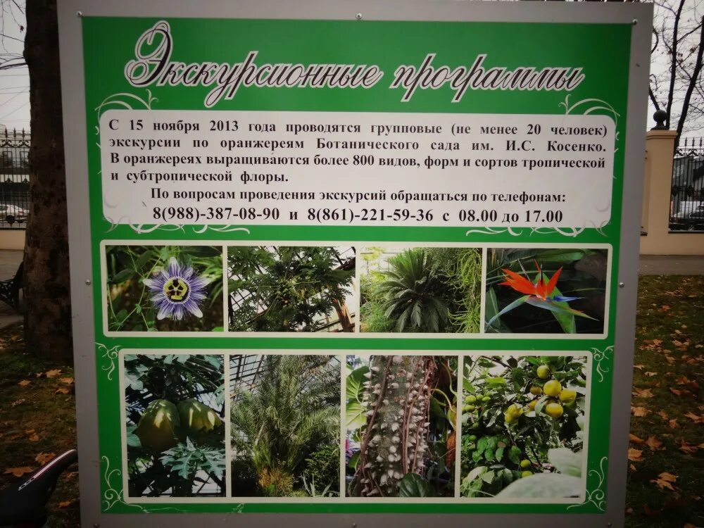 График работы ботанического. Ботанический сад косенко карта. ботанический сад краснодар. ботанический сад краснодар оранжерея. план ботанического сада краснодар.