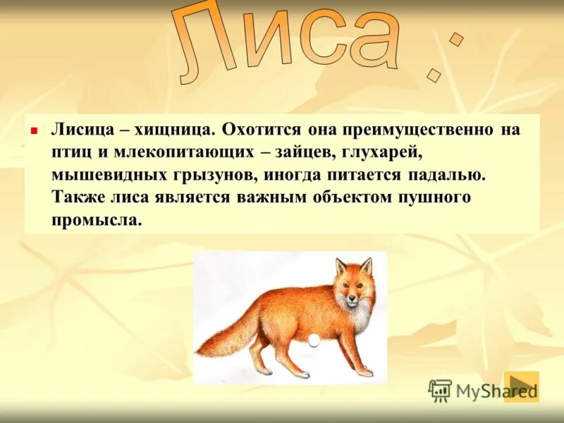 физкультминутка лиса. стихи про просеку. яутжа воин. гороскоп хищницы. хищница слова.