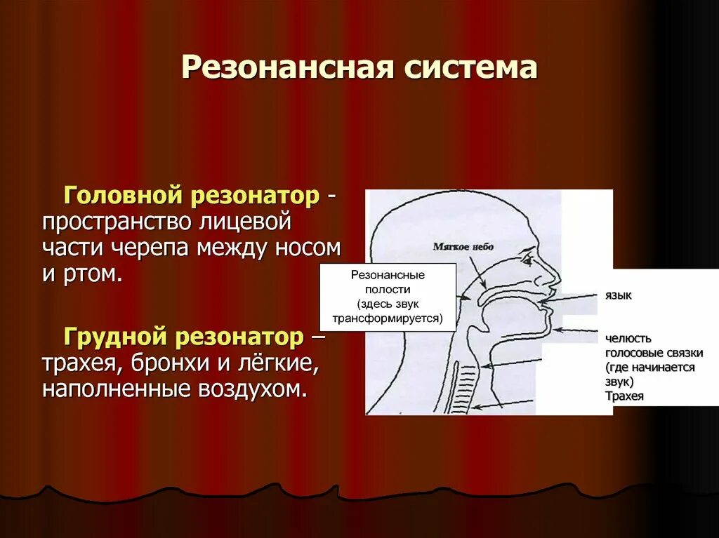 Где находятся резонаторы. Резонаторы голосового аппарата. Верхние и нижние резонаторы голосового аппарата. Резонаторные полости голосового аппарата. Грудной резонатор в вокале.