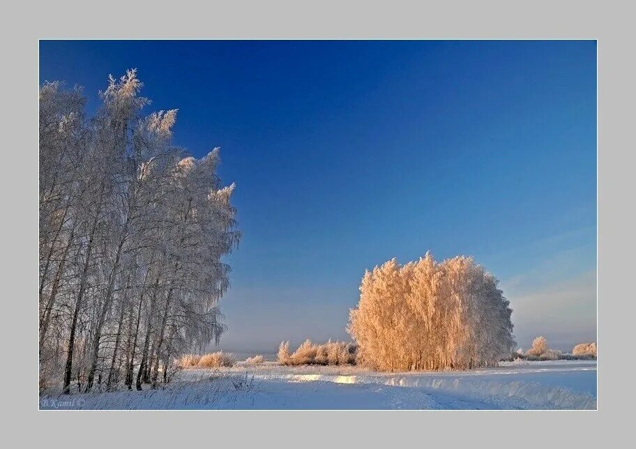 Зима в 2010 году какая была. Зимние фото для проекта 4 класса. картинки зима псков красота осеннего неба. какая красота, природа кудесница фото зимние.