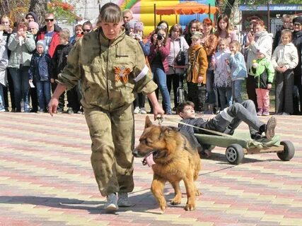 Собака рубцовск