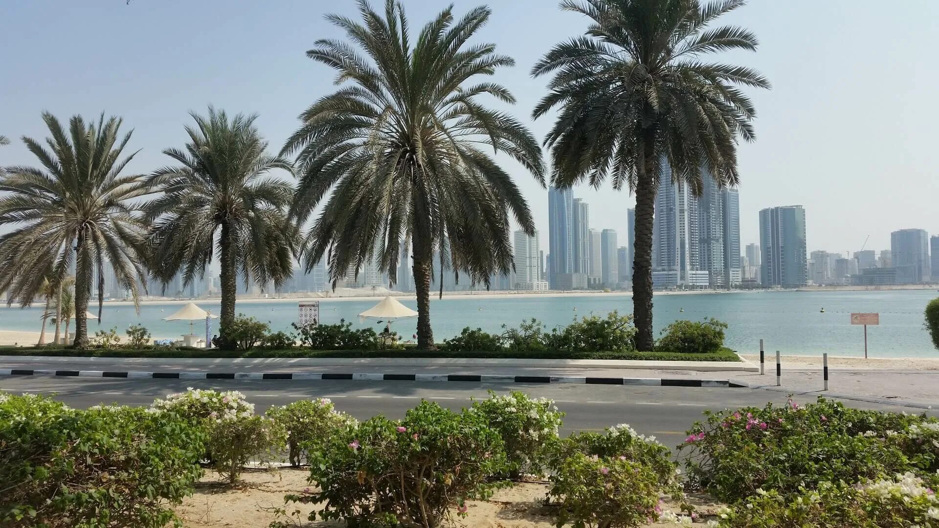 Парк аль мамзар. Аль Мамзар Дубай. Парк Аль Мамзар Шарджа. Пляж Мамзар Дубай. Пляжный парк Аль Мамзар в Дубае.