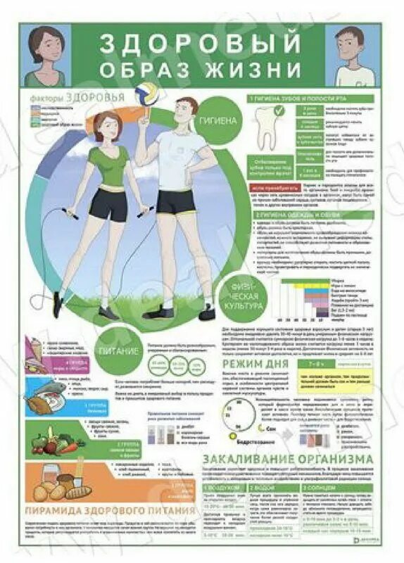 Средств пропаганды здорового образа жизни. Комплект оборудования для наглядной пропаганды здорового образа. Наглядная пропаганда здорового образа жизни. Плакат ЗОЖ. Санбюллетень здоровый образ жизни.