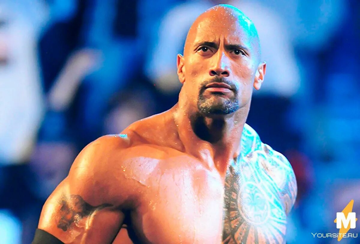 дуэйн скала джонсон бровь. дуэйн скала джонсон бровь. дуэйн скала джонсон бровь. скала удивлен. скала удивлен.