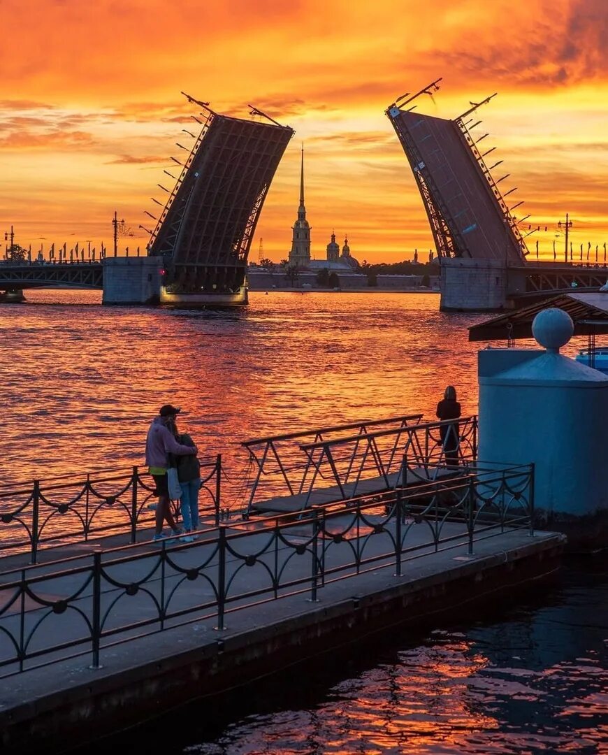 Александровская колонна в санкт-петербурге ангел. Прикоснись к петербургу. Картины переулок радищева. Прикоснись к петербургу. Дворцовый мост белые ночи.