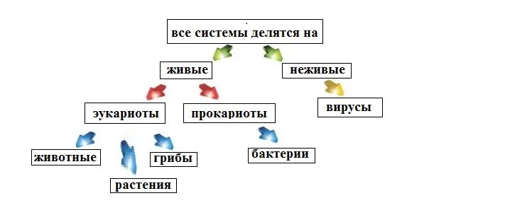 Приведите примеры систем живой и неживой Картинки связь между живой и неживой природой (67 фото)