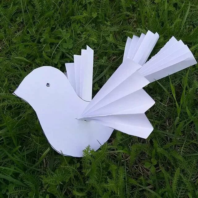 Голубь из бумаги своими руками для детей. Голубь из бумаги. Конструирование голубь. Объемная поделка голубя. Объемные бумажные птицы.