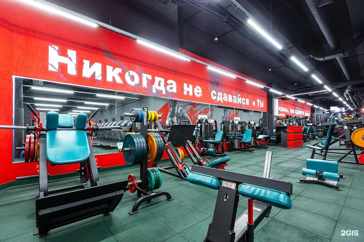 М g фитнес крылатское. Фитнес клуб gfitness на дубровке. Фитнес клуб g8 на маршала жукова. G8 москва фитнес. Фитнес зал 5 g омск.
