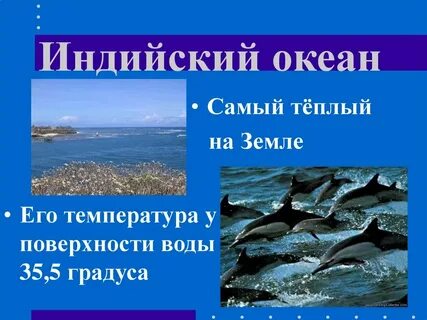 Презентация 2 класс мировой океан