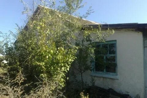 Погода заольховский