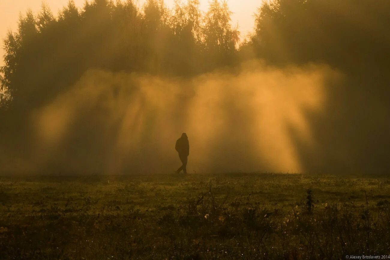Вышло солнце из тумана. Дождь и туман. Человек в тумане. Поле в тумане. Утро туман.